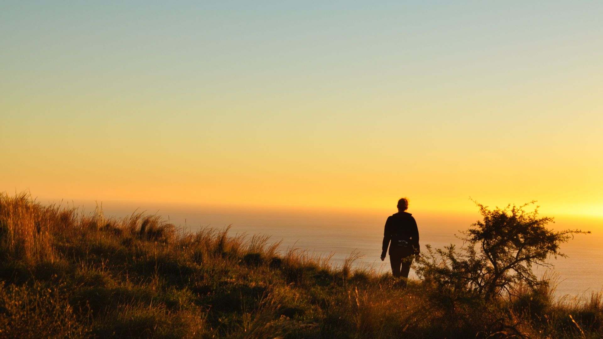 The Four Yous: Discovering Our True Identity Through the Enneagram and Relationship With God